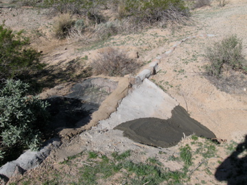 WaterHoleProjects2009/IMG_0098.jpg