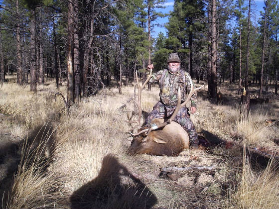 YVRGCPix/Elk012.jpg